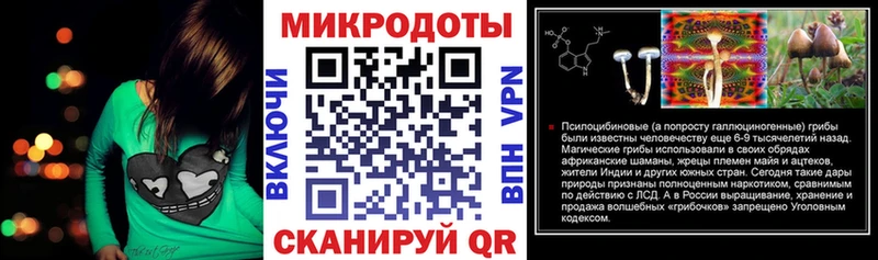 Купить закладки  Усть-Илимск  Галлюциногенные грибы Psilocybe 